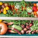 gradina cu legume bio obtinute fara sapare